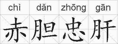 赤胆忠肝的拼音