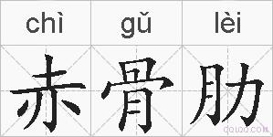 赤骨肋的拼音