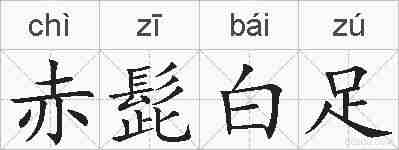 赤髭白足的拼音