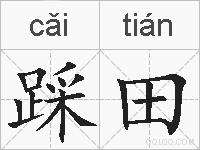 踩田的拼音