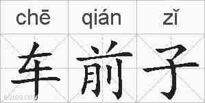 车前子的拼音