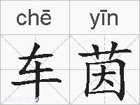 车茵的拼音