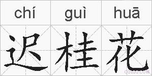 迟桂花的拼音