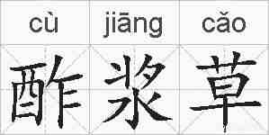 酢浆草的拼音
