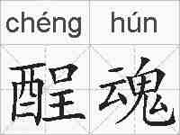 酲魂的拼音