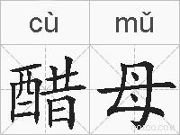 醋母的拼音