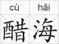 醋海的拼音