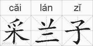 采兰子的拼音