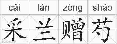 采兰赠芍的拼音