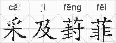 采及葑菲的拼音