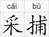 采捕的拼音