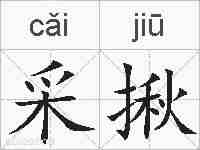采揪的拼音