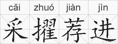 采擢荐进的拼音