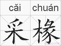 采椽的拼音