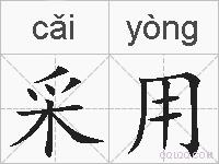 采用的拼音