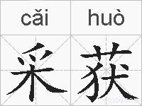 采获的拼音