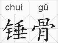锤骨的拼音