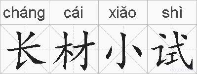 长材小试的拼音