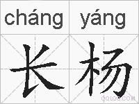 长杨的拼音