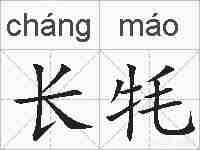 长牦的拼音