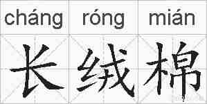 长绒棉的拼音