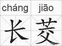 长茭的拼音