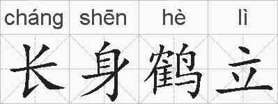 长身鹤立的拼音