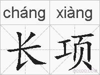 长项的拼音