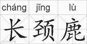 长颈鹿的拼音