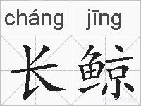 长鲸的拼音