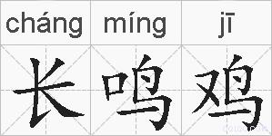 长鸣鸡的拼音