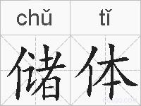 储体的拼音