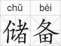 储备的拼音