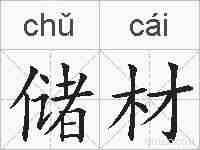 储材的拼音