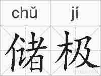储极的拼音
