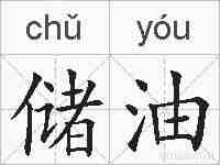 储油的拼音