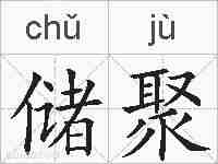 储聚的拼音