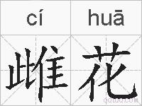 雌花的拼音