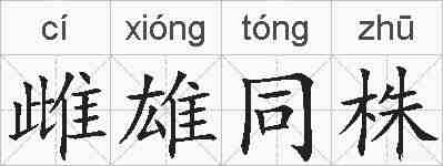 雌雄同株的拼音