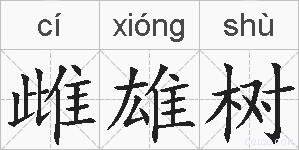 雌雄树的拼音