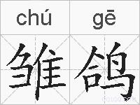 雏鸽的拼音