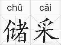 储采的拼音