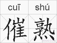 催熟的拼音