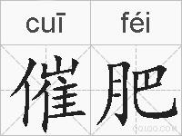 催肥的拼音