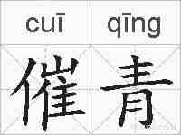 催青的拼音