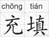 充填的拼音
