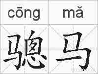 骢马的拼音
