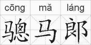 骢马郞的拼音