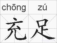 充足的拼音