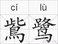 鴜鹭的拼音